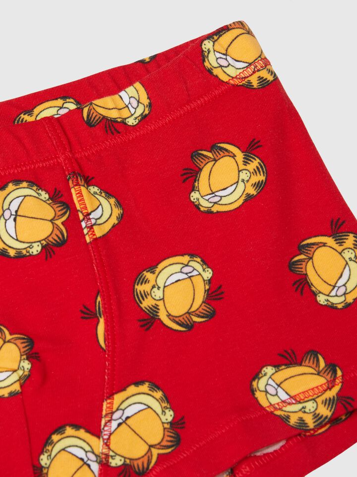 BOXER Niño image number 3